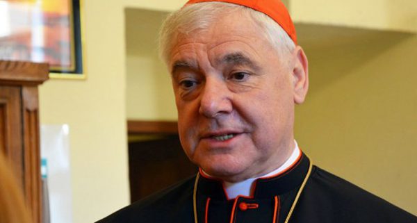 Kardynał Müller o atakach na św. Jana Pawła II