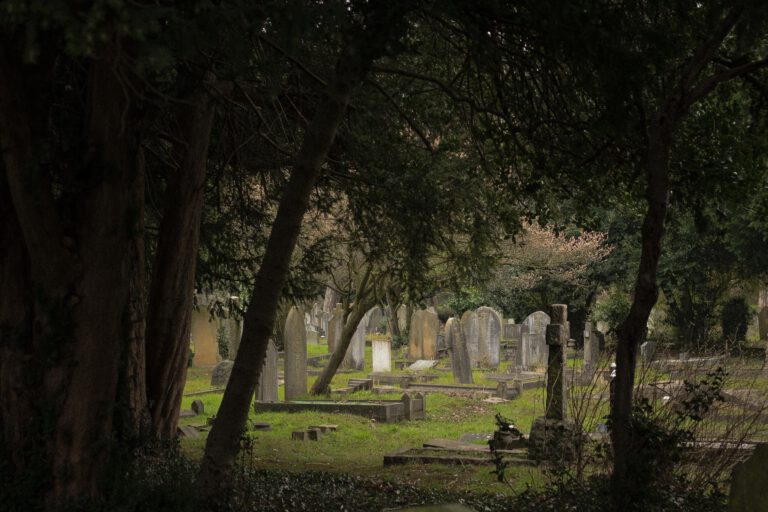 Australia: władze chcą przejąć zarząd nad cmentarzami